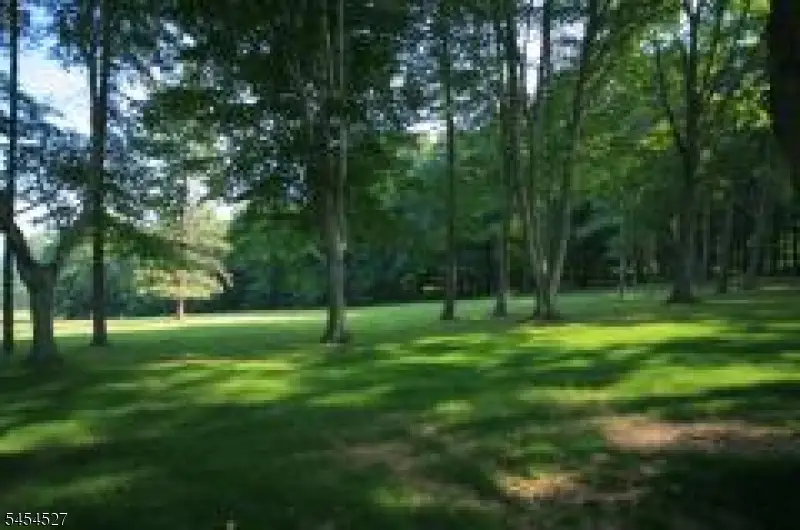 15 Exmoor Dr, Mendham, NJ 07945 - #2