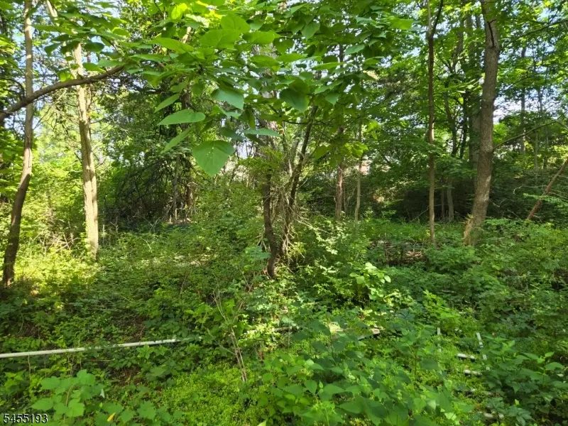 2 Hewlett Rd, Towaco, NJ 07082 - #3