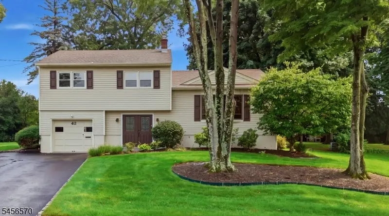 42 Hanover Pl, Wayne, NJ 07470 - #1