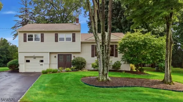 42 Hanover Pl, Wayne Twp., NJ 07470