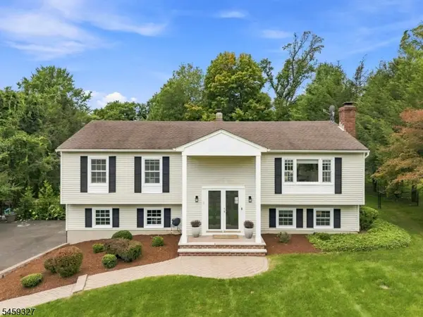 10 Darlene Ct, Randolph Twp., NJ 07869