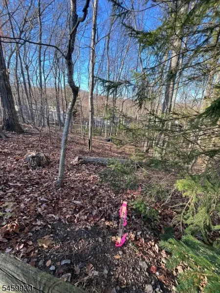 22 Mountain Rd, Denville Twp., NJ 07834