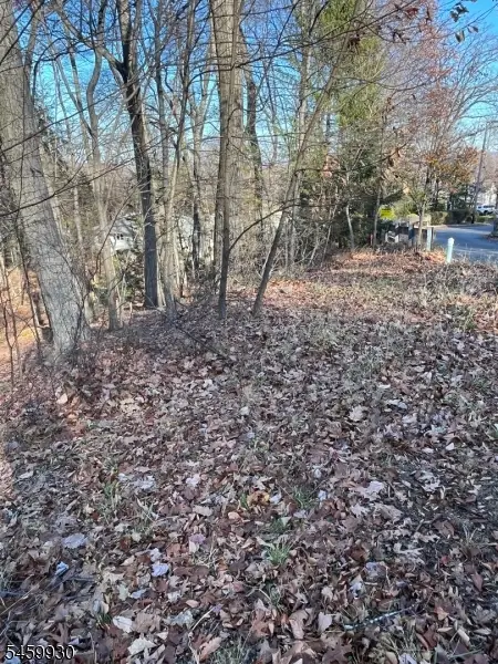 22 Mountain Rd, Denville, NJ 07834 - #2