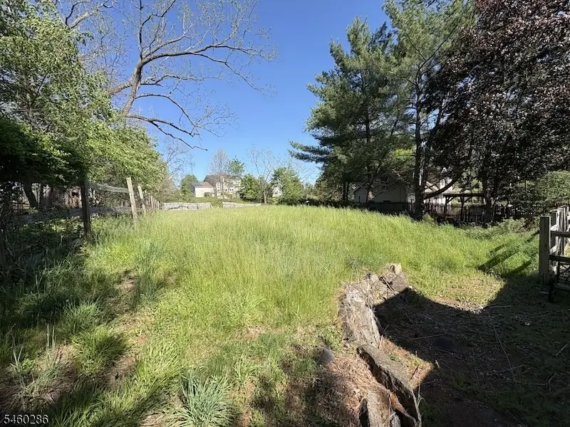117 Lilac Drive, Clinton, NJ 08801 - #3