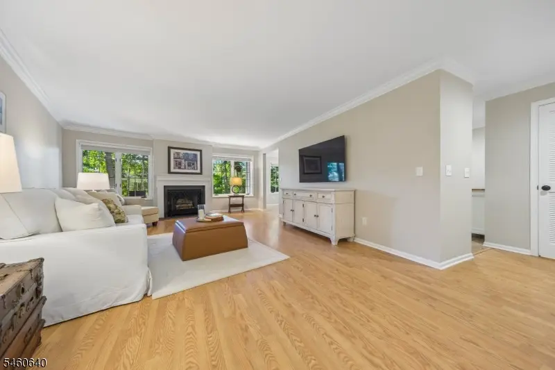 163 Terrace Dr, Chatham, NJ 07928 - #1