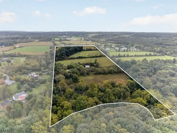 1599 County Road 519, Alexandria Twp., NJ 08825