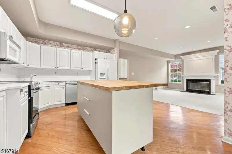 16 Mulberry Ln, Mount Arlington, NJ 07856 - #1