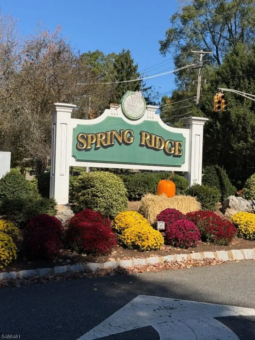 44 Jamestown Rd, Bernards, NJ 07920 - #1
