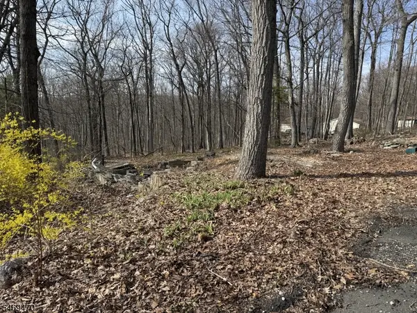 48 Alexandria Ave, Hopatcong Boro, NJ 07821