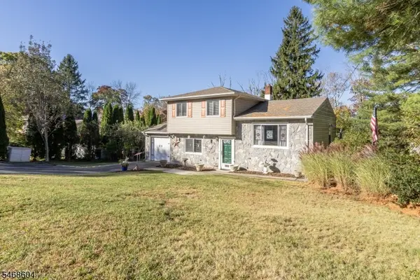 20 Young Dr, Stanhope Boro, NJ 07874