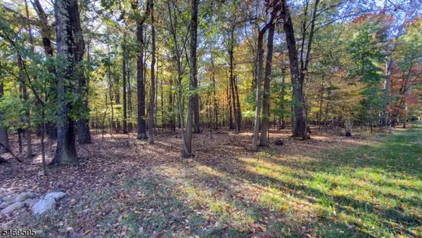 37 Lt Hooper Rd, Alexandria Twp., NJ 08848