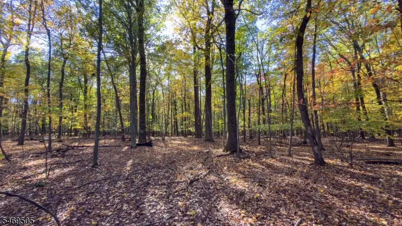 37 Lt Hooper Rd, Alexandria, NJ 08848 - #2