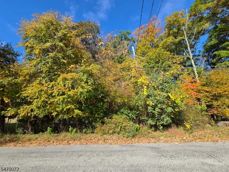 0 Plymouth Lake Dr, Stillwater, NJ 07860 - #2
