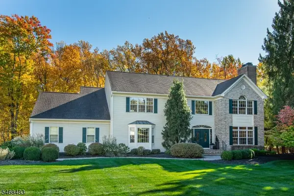 20 Heather Ln, Randolph Twp., NJ 07869