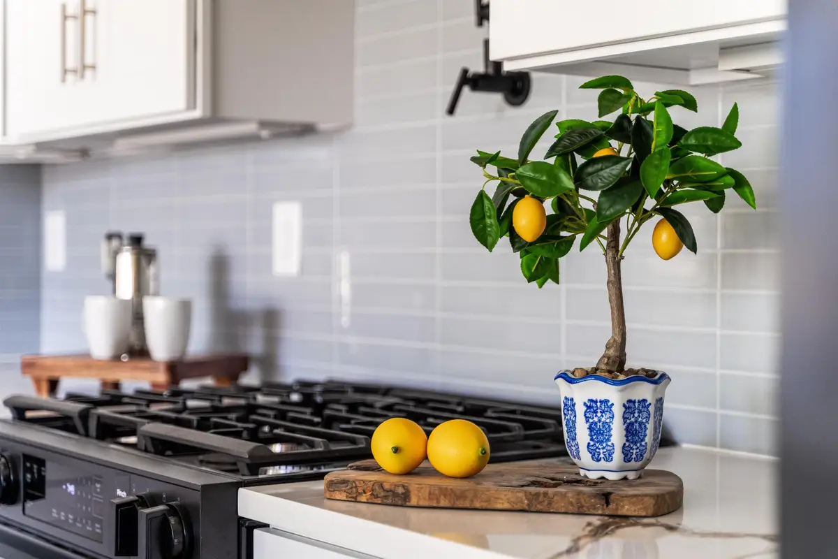 335 VIRGINIA AVE #2, Jersey City, NJ 07304 - #1