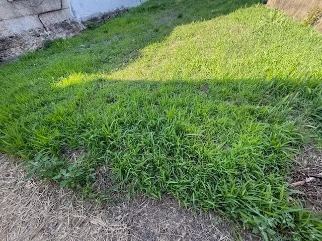 1204 HILLSIDE PL, North Bergen, NJ 07047 - #3