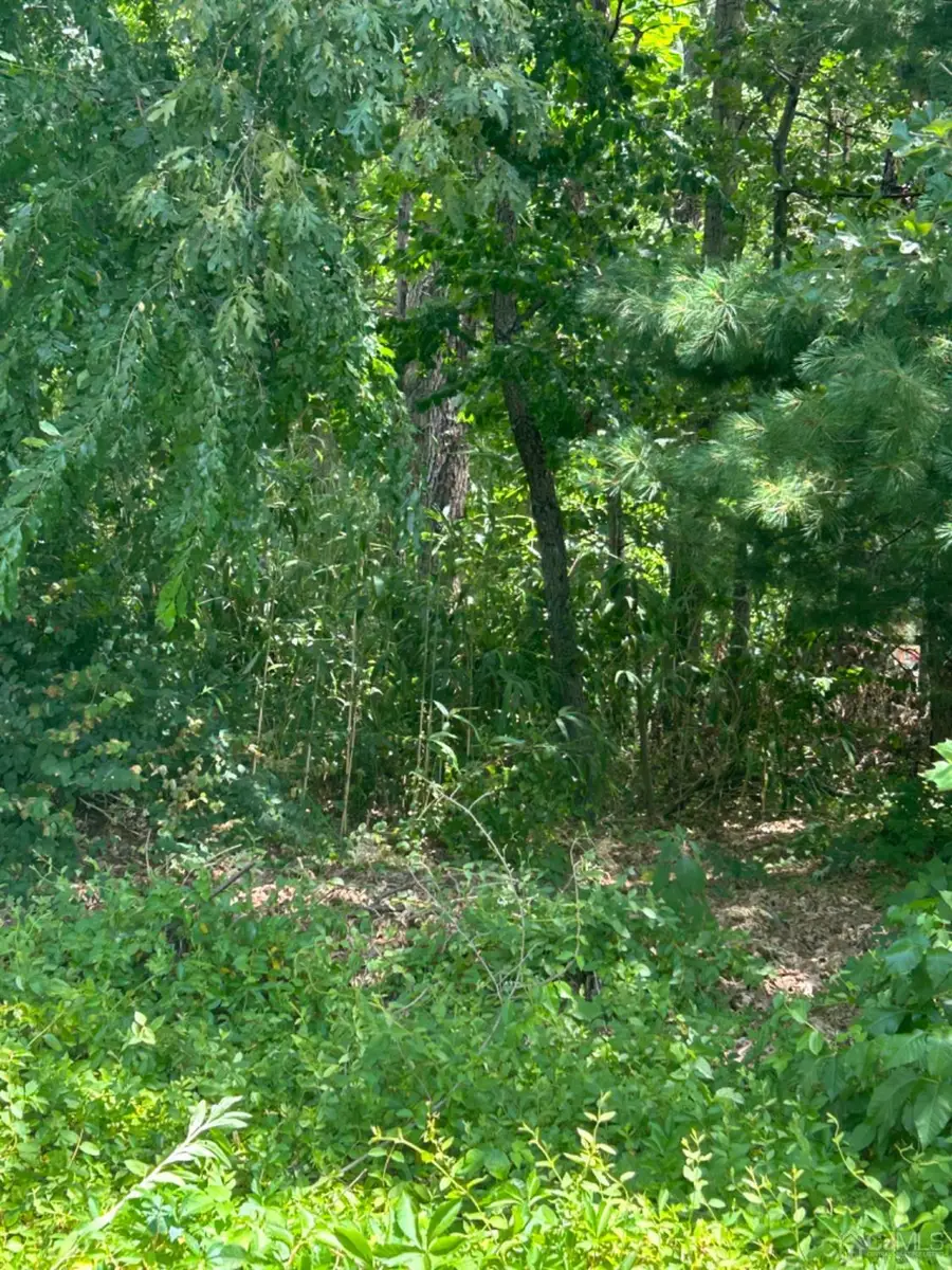 -0-0 Somerdale Street, Spotswood, NJ 08884 - Image #2