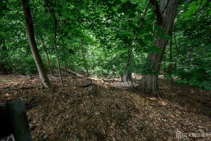 -39 Forest Drive, Bloomfield, NJ 07003 - Image #2