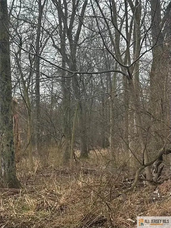 -72 School Street, Piscataway, NJ 08854