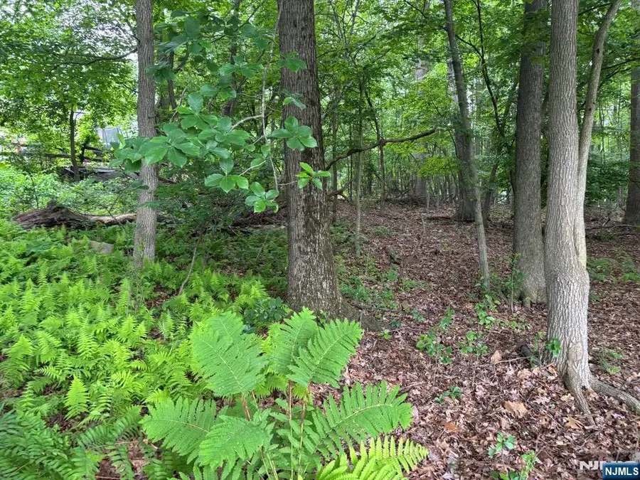 0 Oakwood, West Milford, NJ 07480 - Image #2