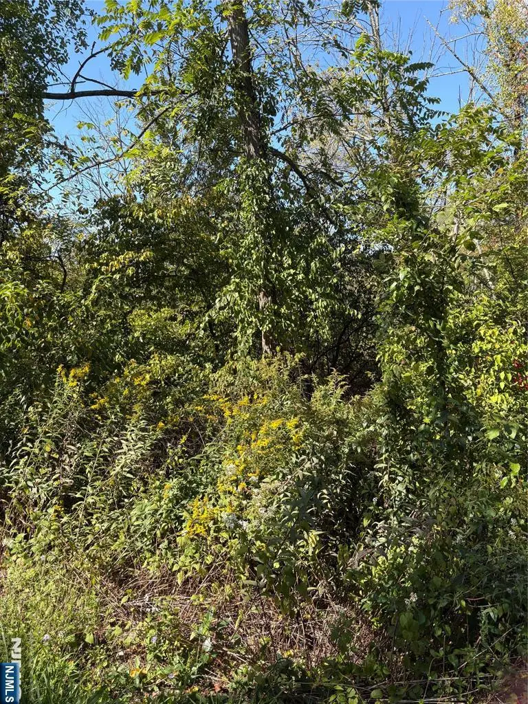 00 Russling Road, Hackettstown, NJ 07840 - Image #2