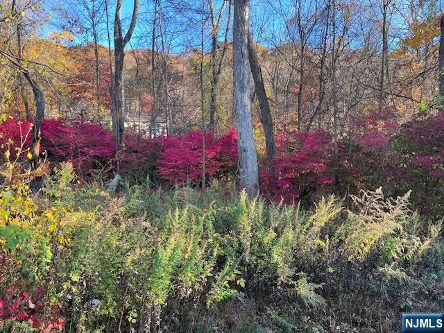 9 Old Woodland Trail, Oak Ridge, NJ 07438 - Image #3