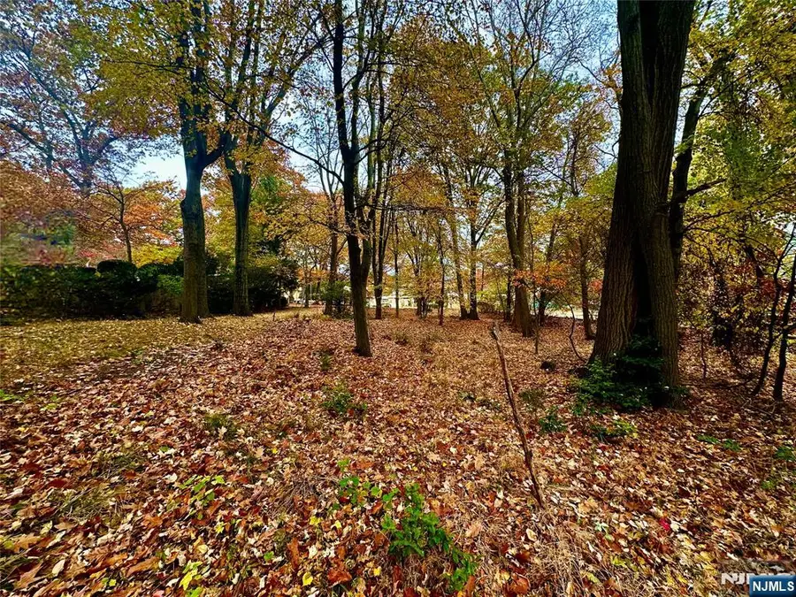 216 E Midland Avenue, Paramus, NJ 07652 - Image #3