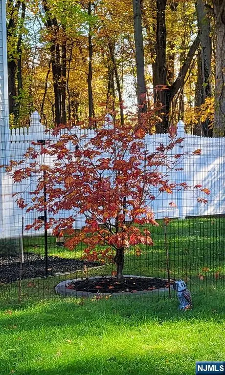 5 Linden, Emerson, NJ 07630 - #3