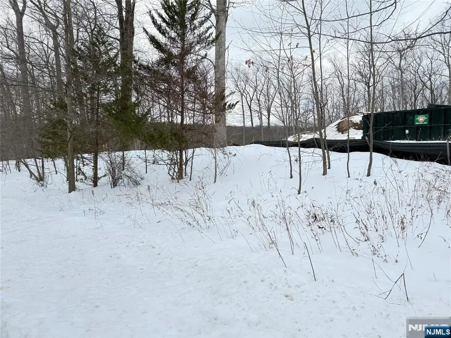 1 Bristol Ridge, Boonton Township, NJ 07005 - #3