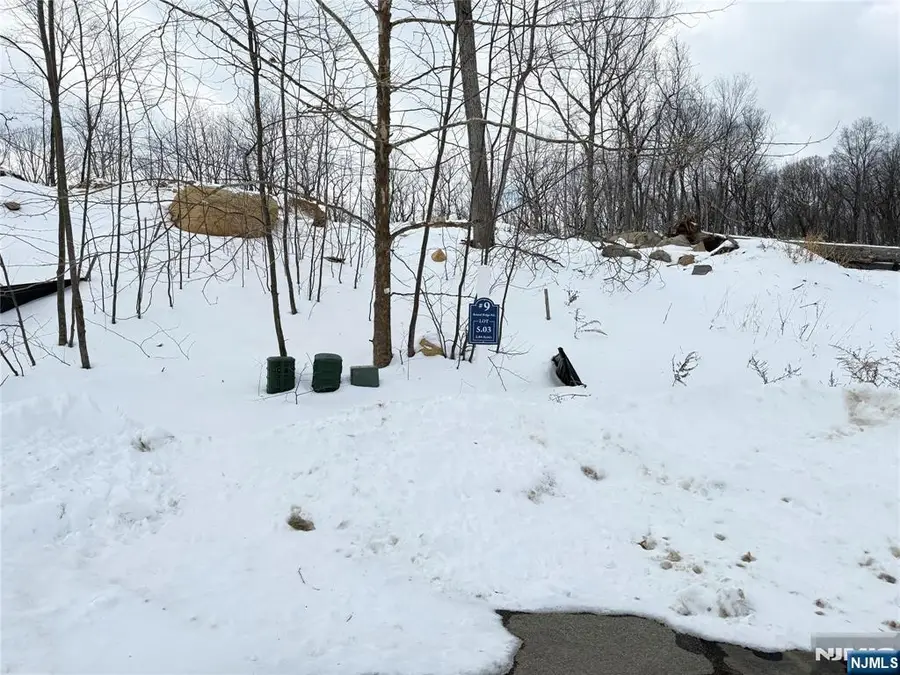 9 Bristol Ridge Road, Boonton Township, NJ 07005 - #2