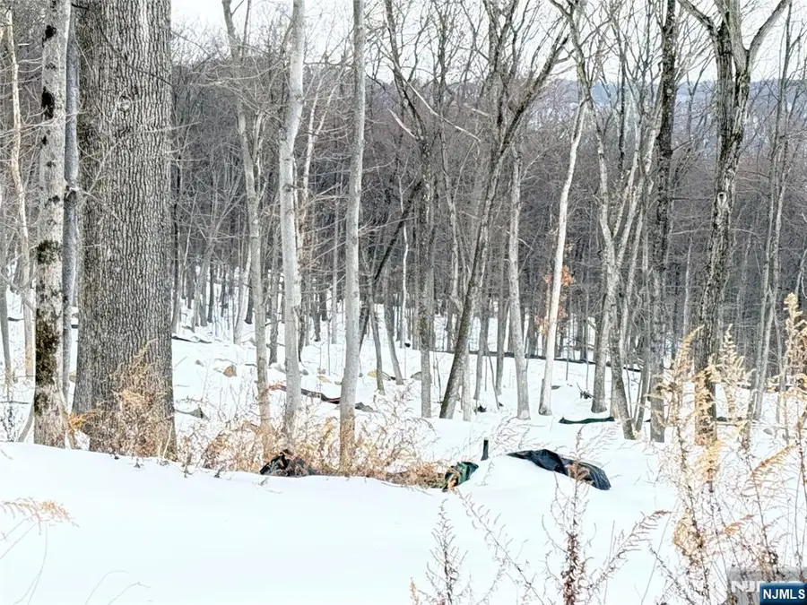 10 Bristol Ridge Road, Boonton Township, NJ 07005 - #2