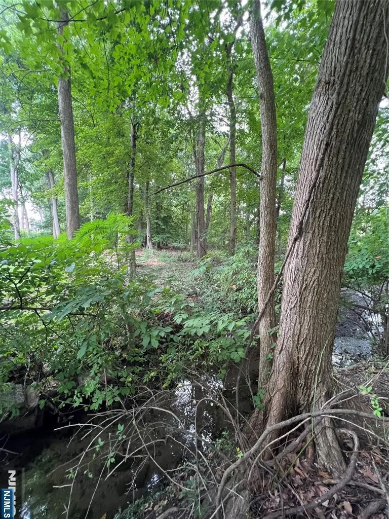 0 Clinton Avenue, Township Of Washington, NJ 07676 - Image #3