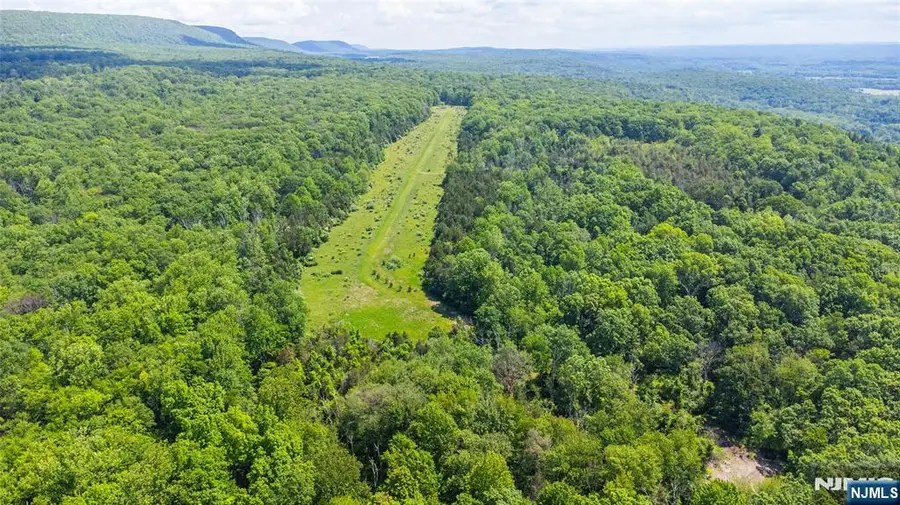 62 Mount Pleasant Road, Knowlton, NJ 07832 - #3