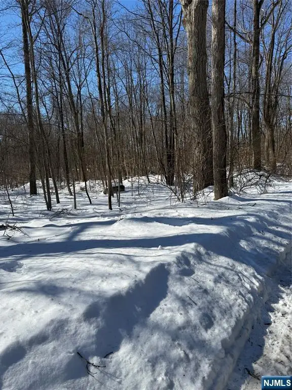 15 Saw Mill Road, Kinnelon, NJ 07405 - #3