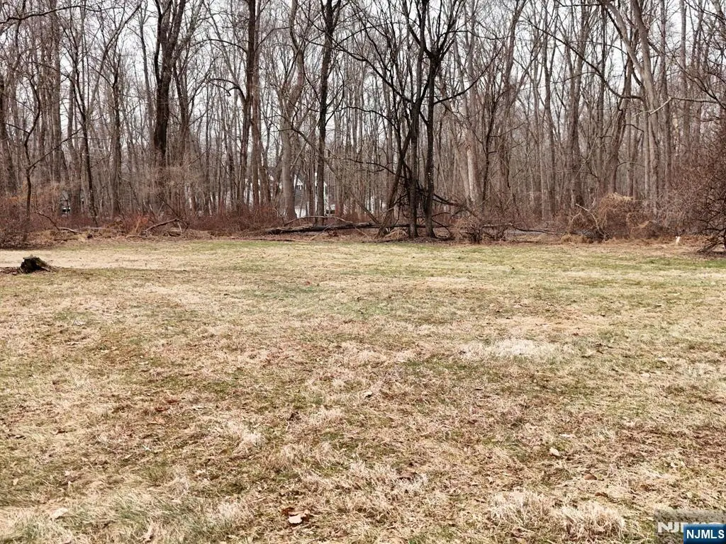 100 Brookside Road, Ramsey, NJ 07446 - #1