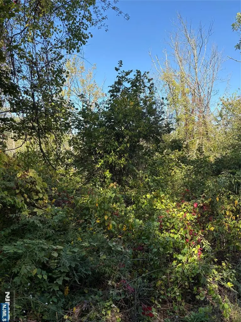 00 Russling Road, Hackettstown, NJ 07840 - #3