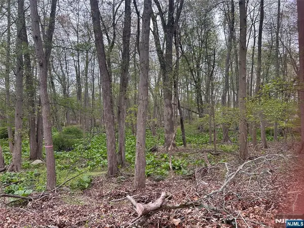 870 Circle Avenue, Franklin Lakes, NJ 07417