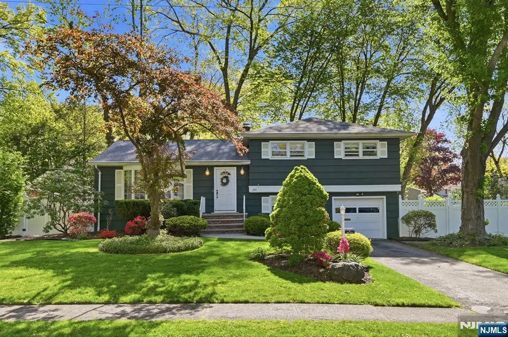 291 S Chestnut Street, Township Of Washington, NJ 07676 - #1