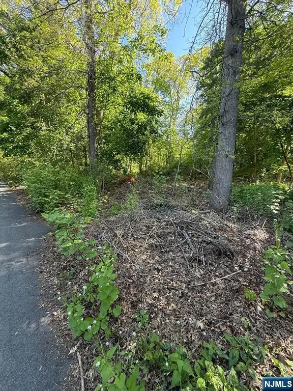 25 Budd Avenue, Budd Lake, NJ 07828 - #2