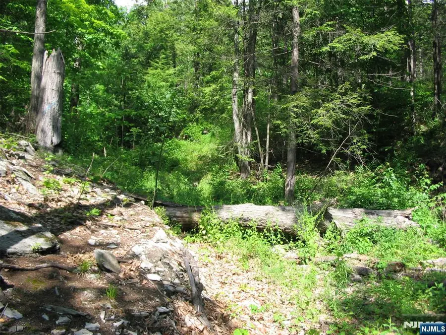67 Pidgeon Hill Road, Wantage, NJ 07461 - #3