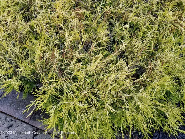 0 Market Ext, Berkeley, NJ 08721