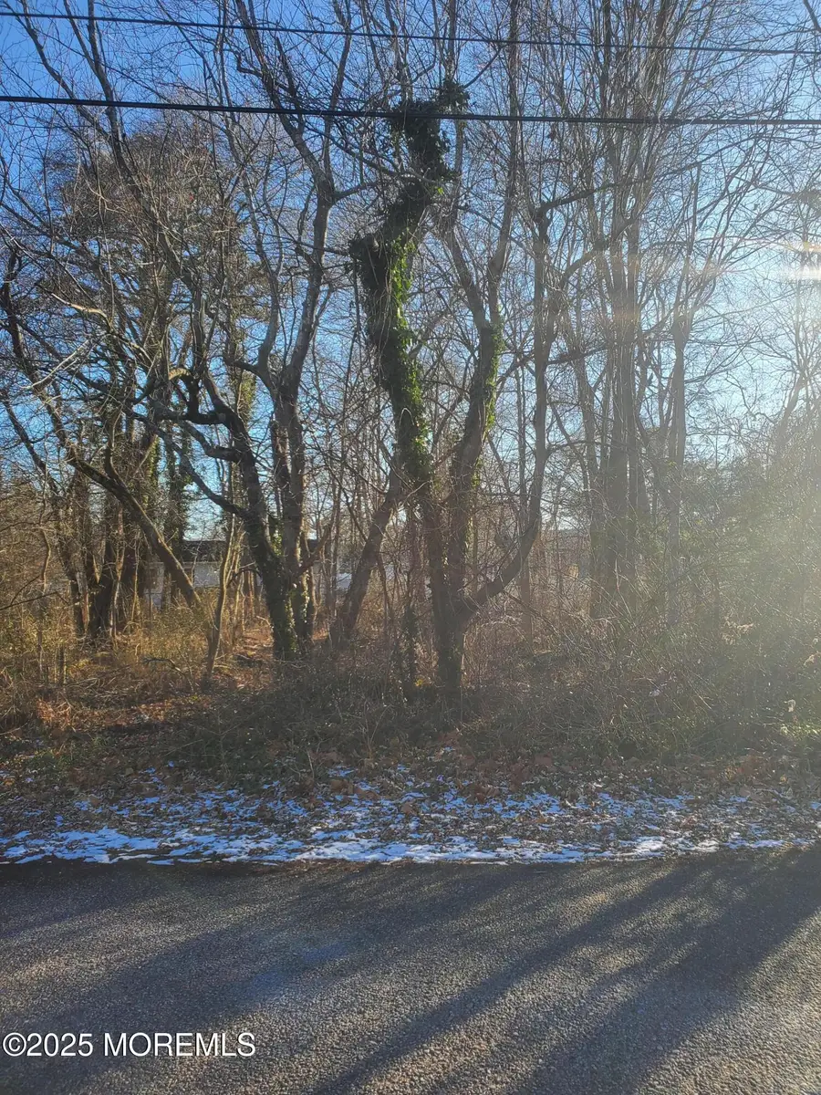 12 Mizzen Way, Waretown, NJ 08758 - Image #3