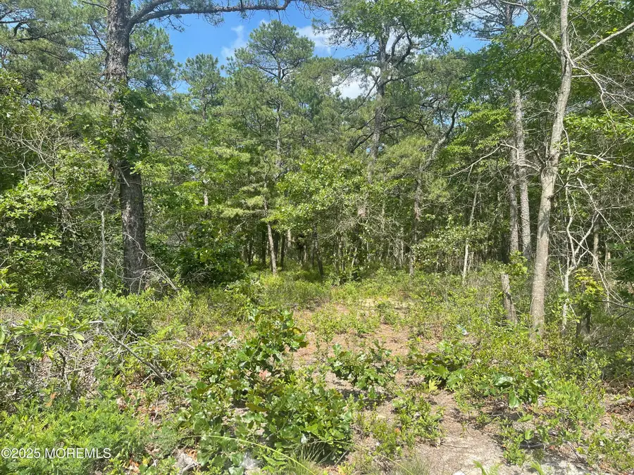 1463 Route 539, Little Egg Harbor Township, NJ 08087 - Image #2