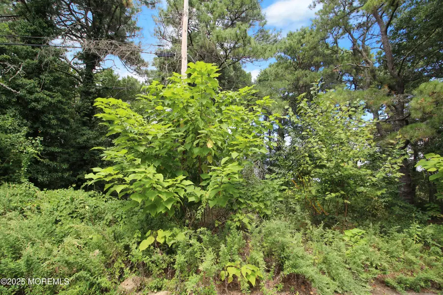 1425 Englemere Boulevard, Toms River, NJ 08757 - Image #2