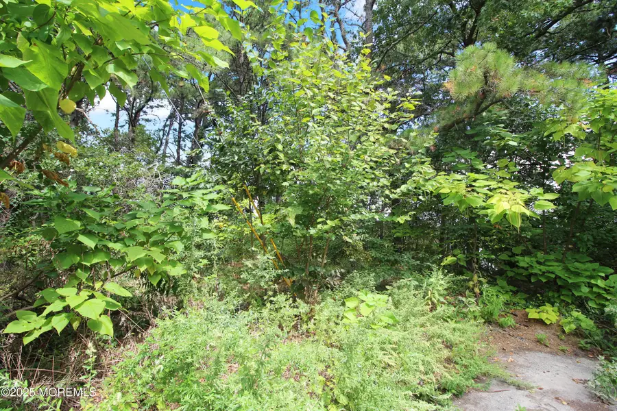 1425 Englemere Boulevard, Toms River, NJ 08757 - Image #3