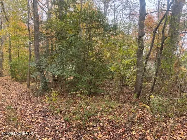 23 Kuzyk Road, Cream Ridge, NJ 08514 - Image #2