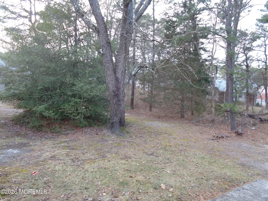 13 C Lexington Drive, Whiting, NJ 08759 - Image #3