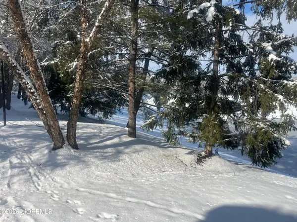 18 Birchwood Road, Bedminster, NJ 07921