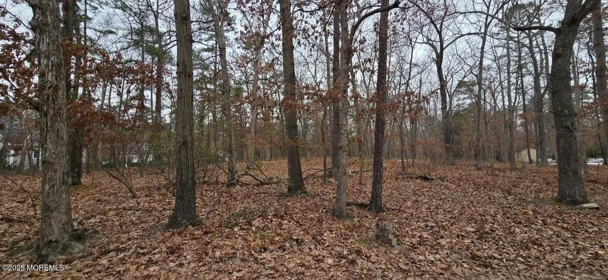 104 Wiseman Road, Jackson, NJ 08527 - Image #1