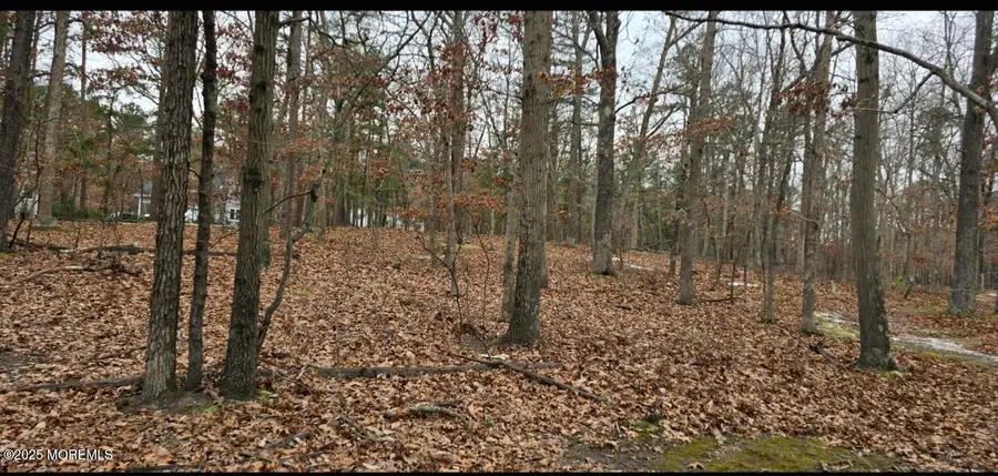 104 Wiseman Road, Jackson, NJ 08527 - Image #2